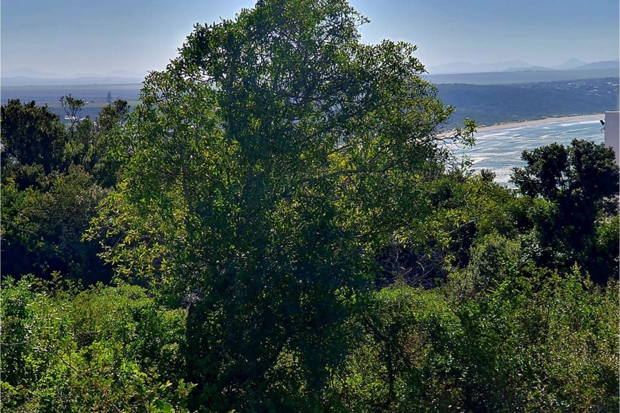 0 Bedroom Property for Sale in Vleesbaai Western Cape